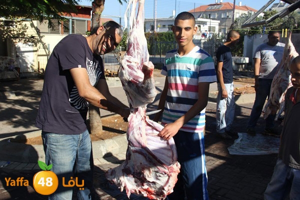 dabe7 ludj31 (7).JPG